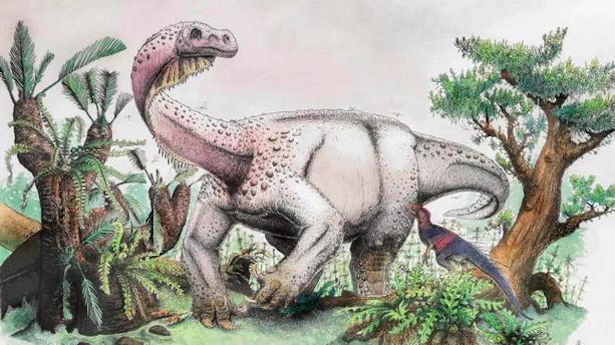Un nouveau dinosaure est considéré comme le plus gros animal que la Terre ait connu à son époque!